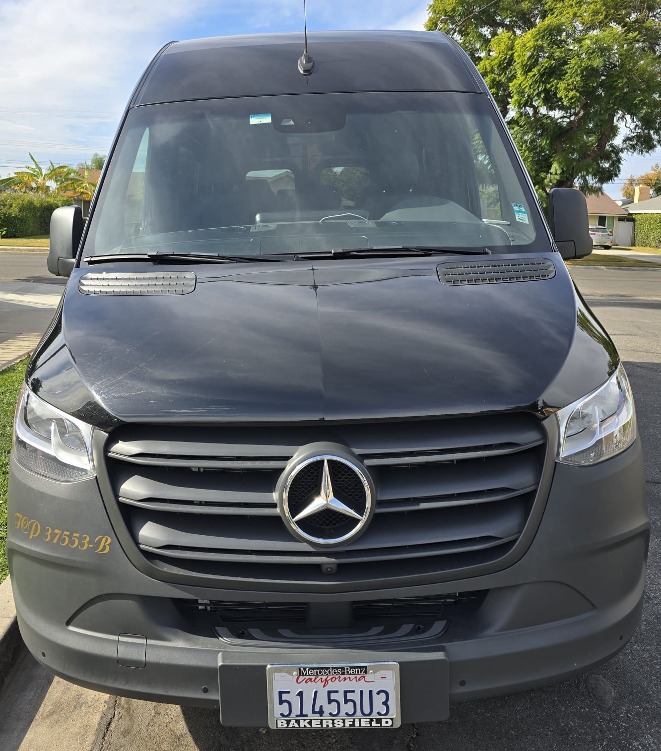 9 passenger Mercedes Sprinter — executive group airport transportation Anaheim